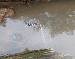 /zh/hangyedongtai/555.html