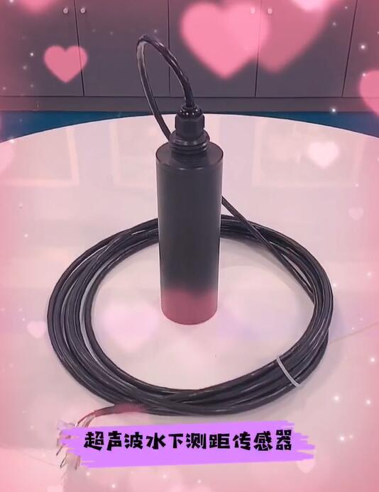162201678920648.jpg 超聲波水下測距傳感器.jpg