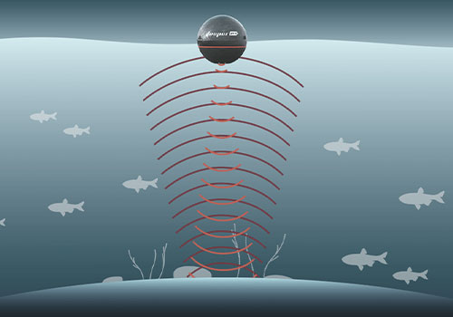 超聲波驅(qū)魚(yú)換能器 超聲波驅(qū)魚(yú)換能器