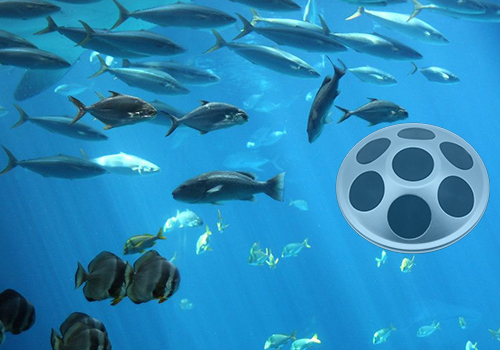 網箱點魚器 網箱點魚器